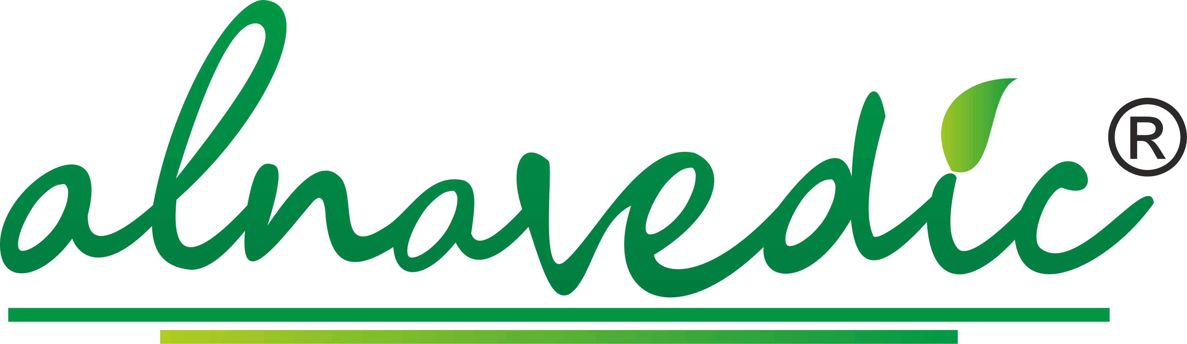 Alnavedic